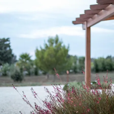 Maria Salento Lizzanello